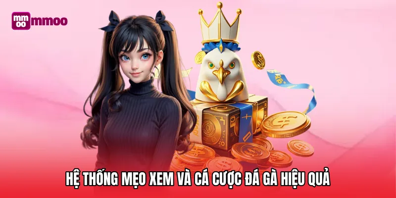 Hệ thống mẹo xem và cá cược đá gà hiệu quả